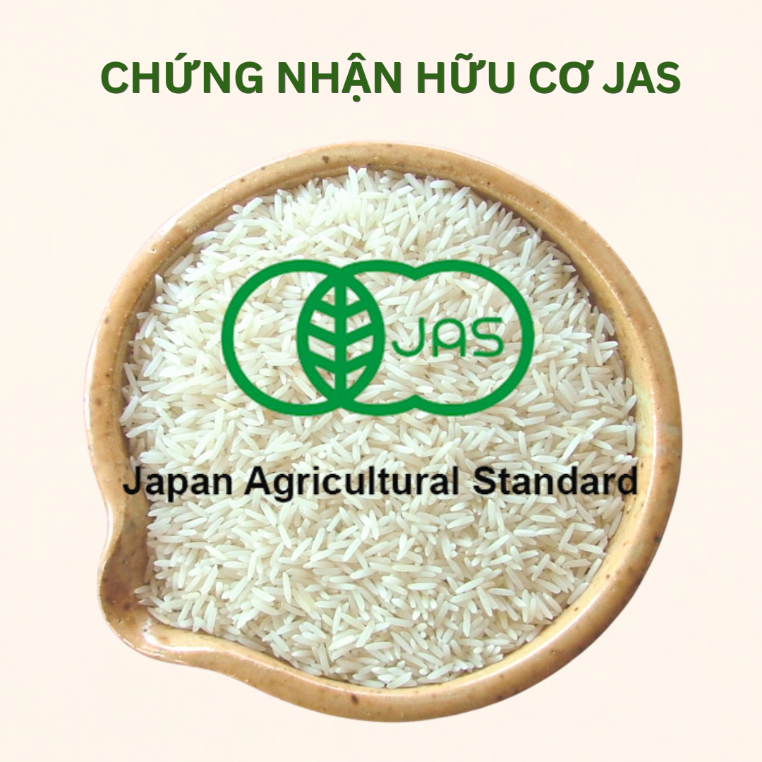 Gạo Hữu Cơ ST25 Mẹ Tôi